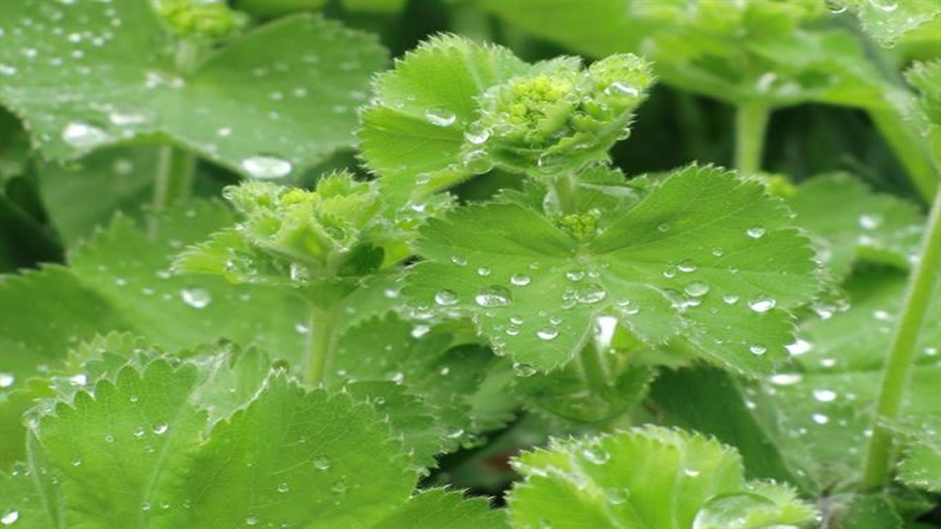 太美了,133张电脑全屏高清壁纸大图,非常值得大家阅览