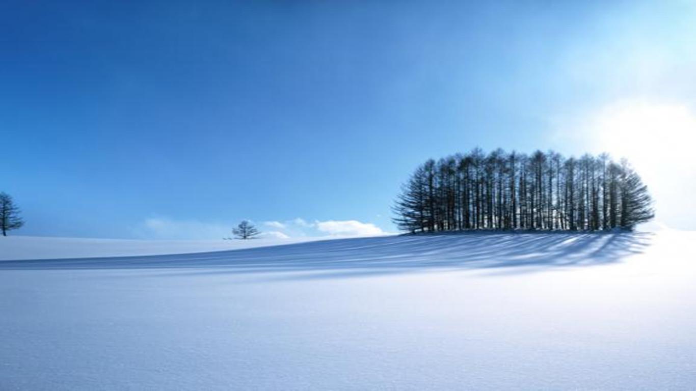 电脑屏保图片(太美了) - 赤虎壹号