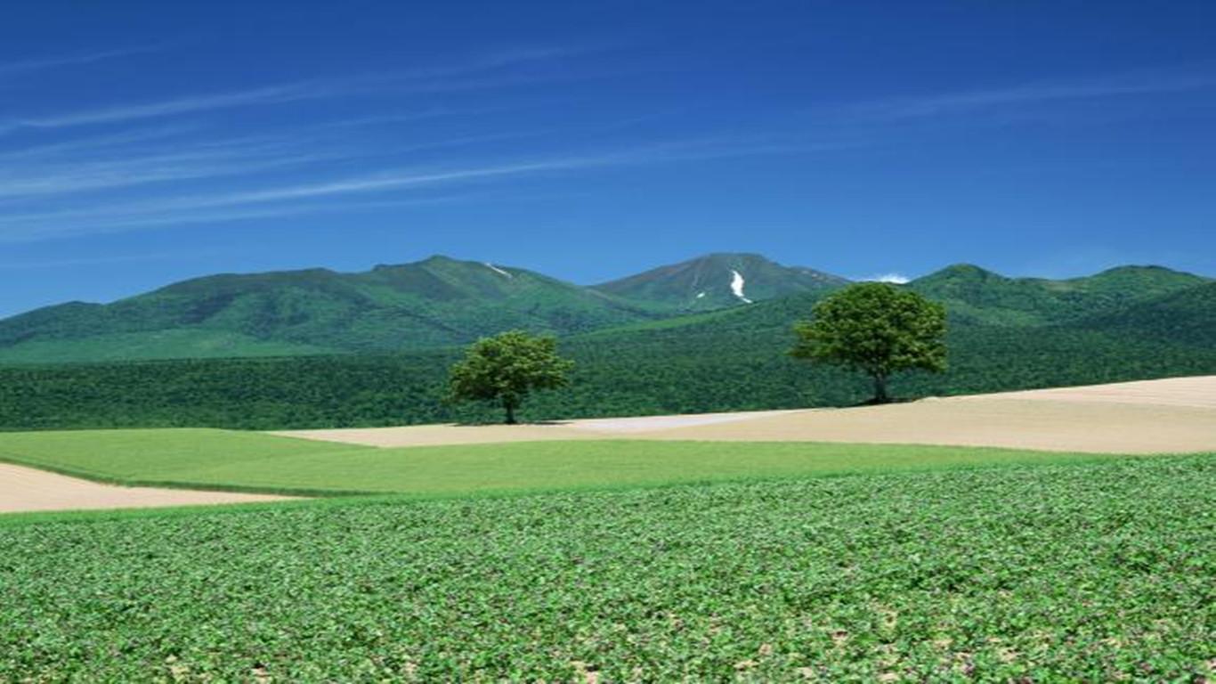 电脑屏保图片(太美了) - 赤虎壹号