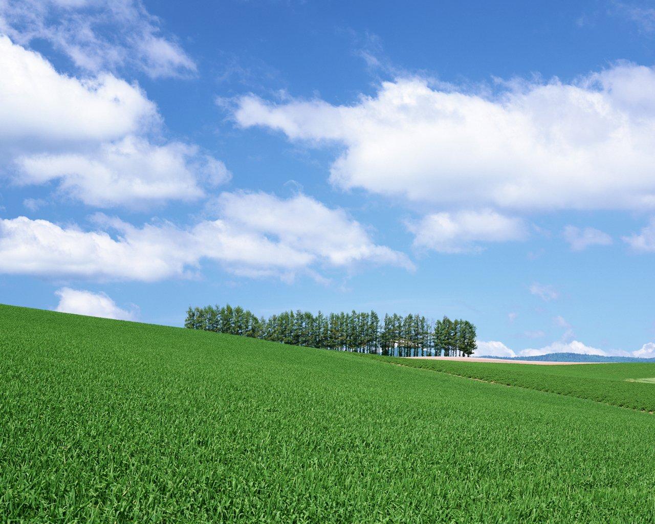 电脑屏保图片(太美了) - 赤虎壹号