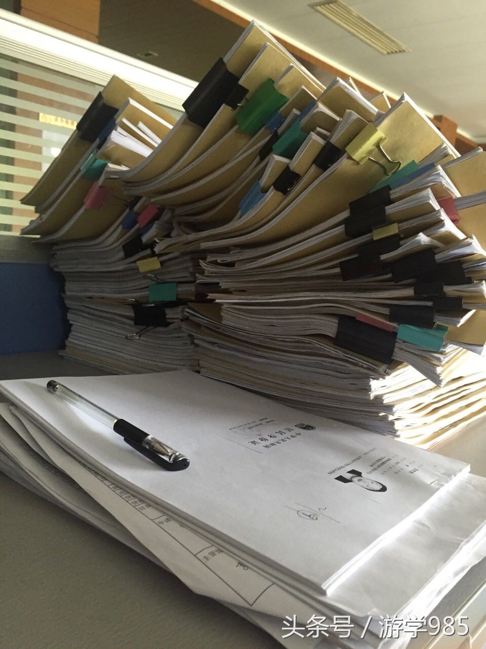 每日一专业｜财务会计专业介绍