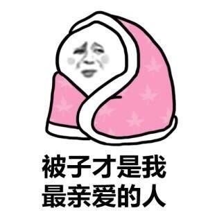 冬天聊天必备表情包