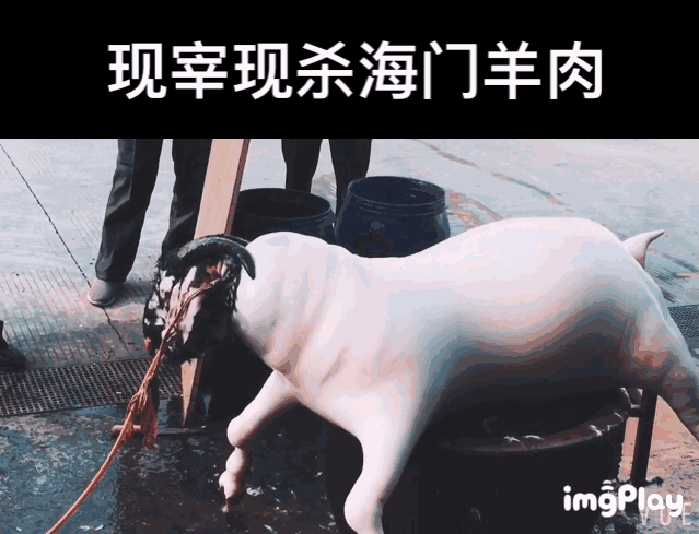 你的年末聚餐准备好了嘛？这一次精选南通这几家餐厅温馨小聚！
