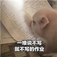 猪猪表情包：一个说不起就不起的早晨