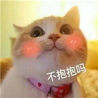 猫咪表情包日常秀恩爱系列