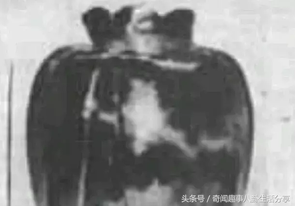 最恐怖的24个诅咒，持有任何一件都是必死的结局！