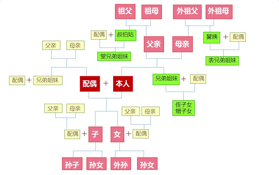 三代以内旁系血亲,三代以内旁系血亲包括哪些人