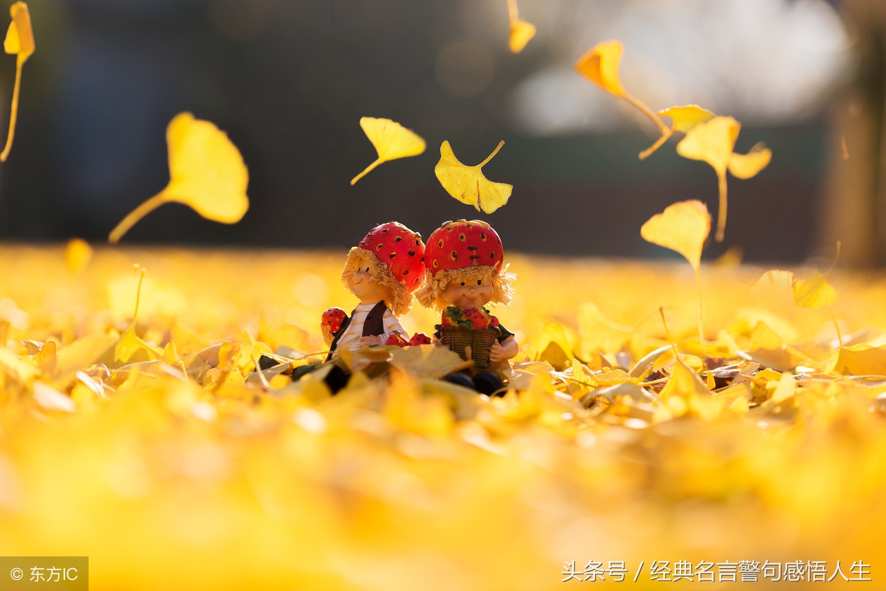 顺其自然，不计较
