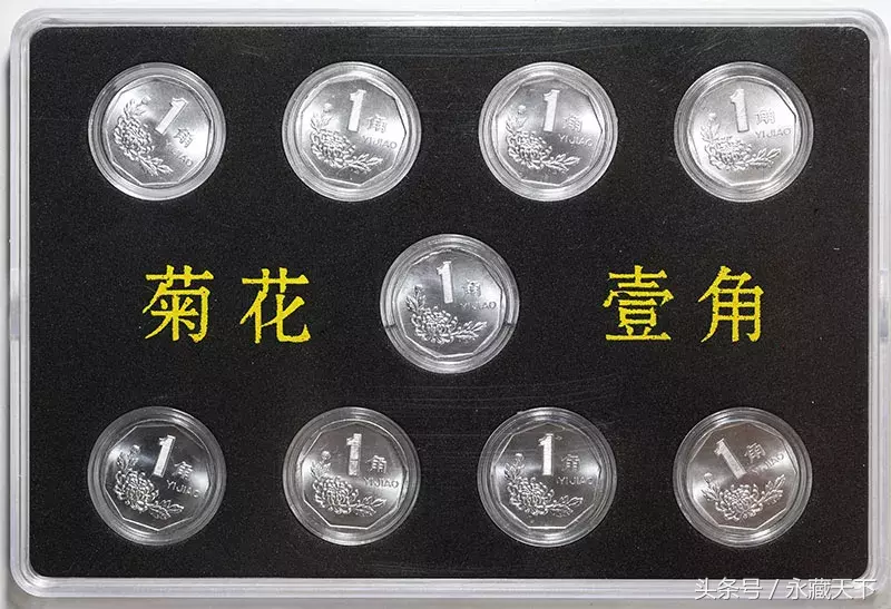 四版的天空:暗香盈袖—菊花一角