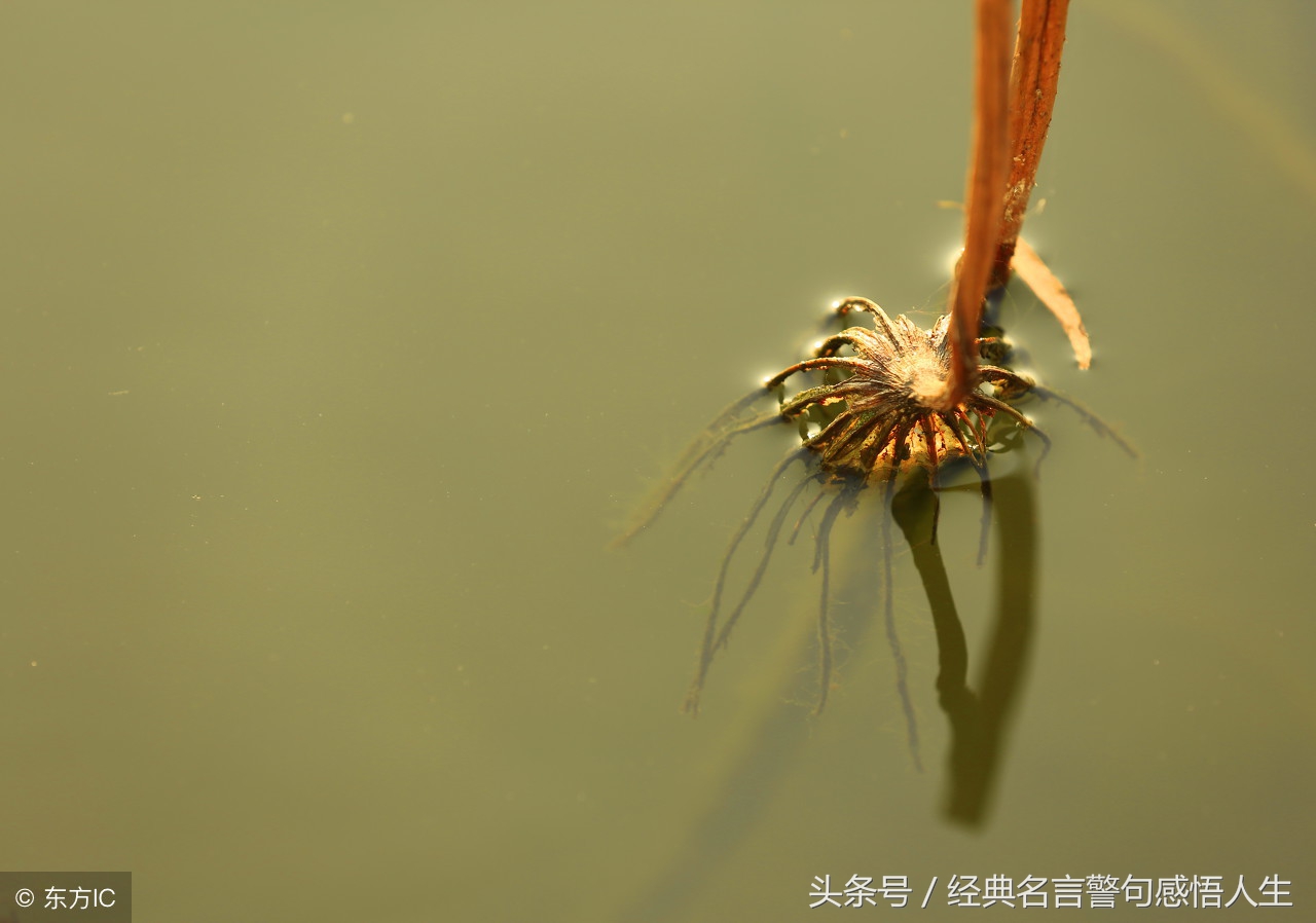 顺其自然，不计较
