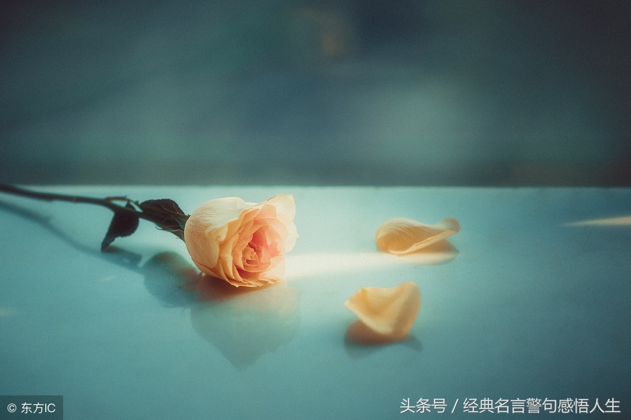 顺其自然，不计较