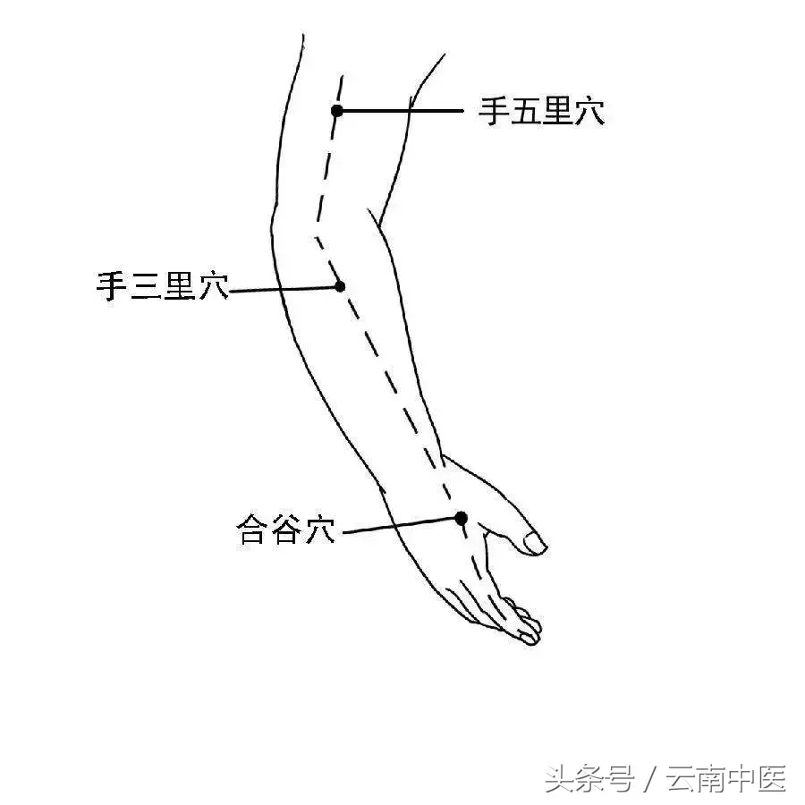 喝多了怎么办(喝酒喝多了怎么办?