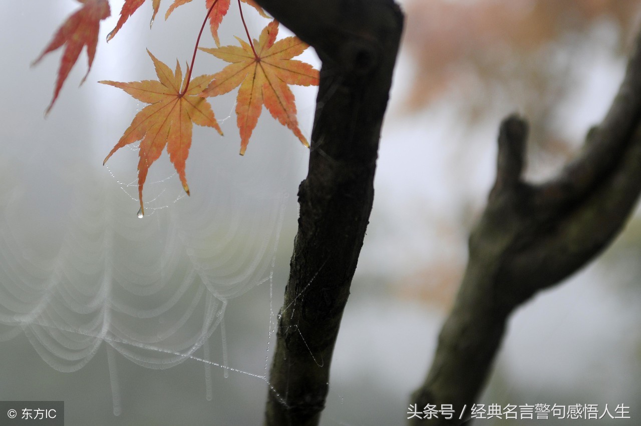 顺其自然，不计较