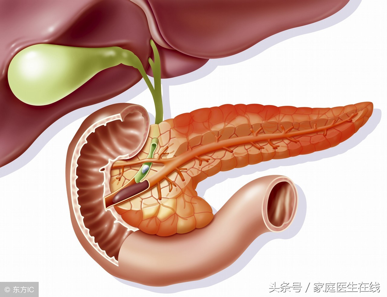 春节饮食做不到这3点，当心肠胃炎频繁找你麻烦！