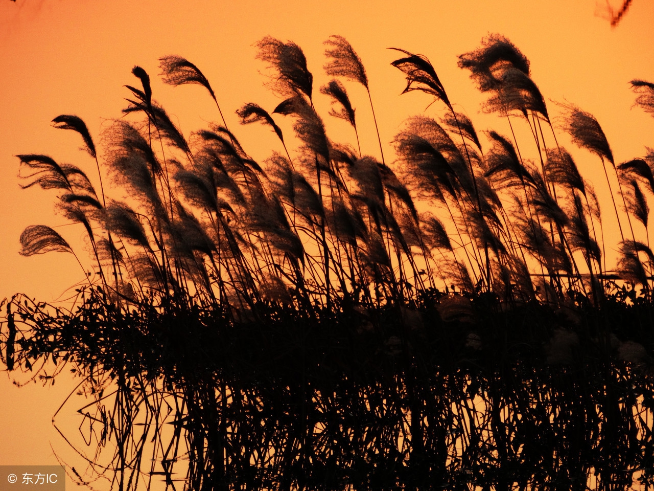 最美的思乡唐诗排行榜！这十首唐诗，写出了游子思乡的极致！