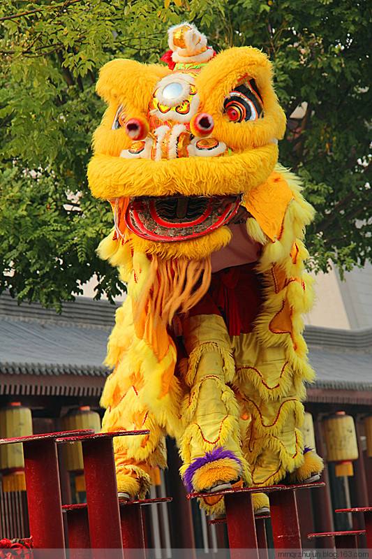 关于潮汕舞狮你不能不知道这些事!