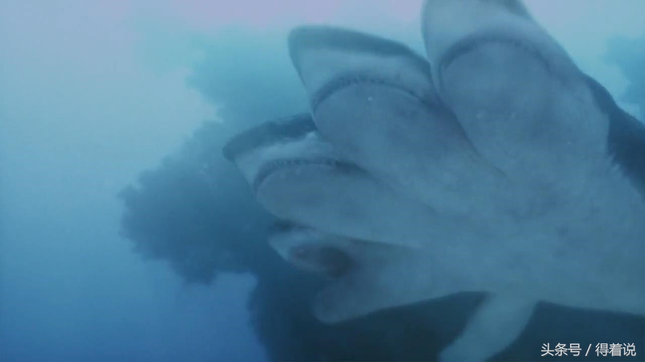 电影说 夺命五头鲨：比国产恐怖片拍得还烂是怎样的体验？