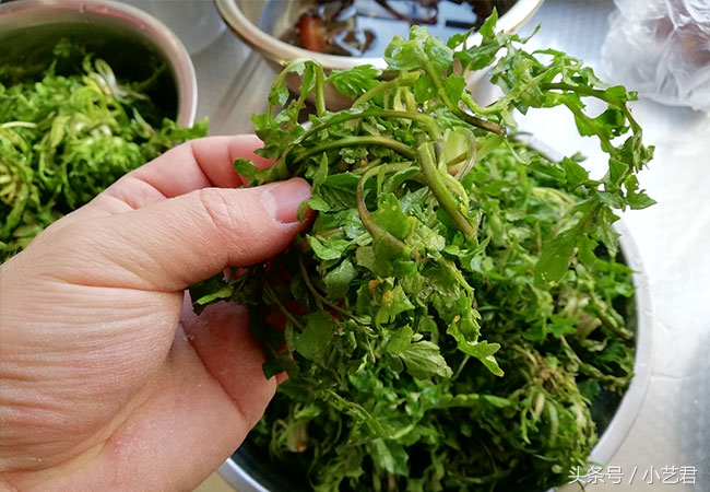 春天必吃的荠菜饺子馅做法，鲜香美味超好吃