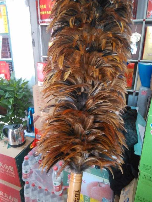 即将消失的老物件——鸡毛掸子