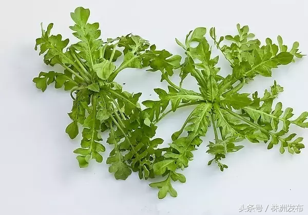 今天植树节，可这些植物名99%的人都会读错，可千万别再让人笑话了