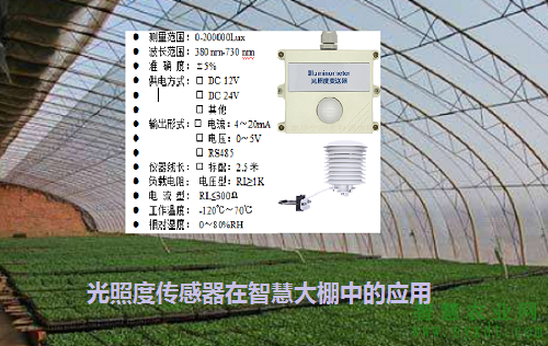 農(nóng)業(yè)智能：光照度傳感器在智慧大棚中的應(yīng)用