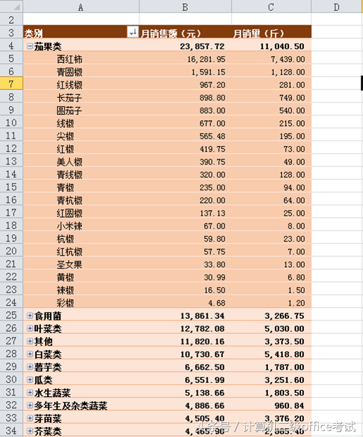 这会你一定在看大学计算机等级考试二级Office考试的相关资料吧