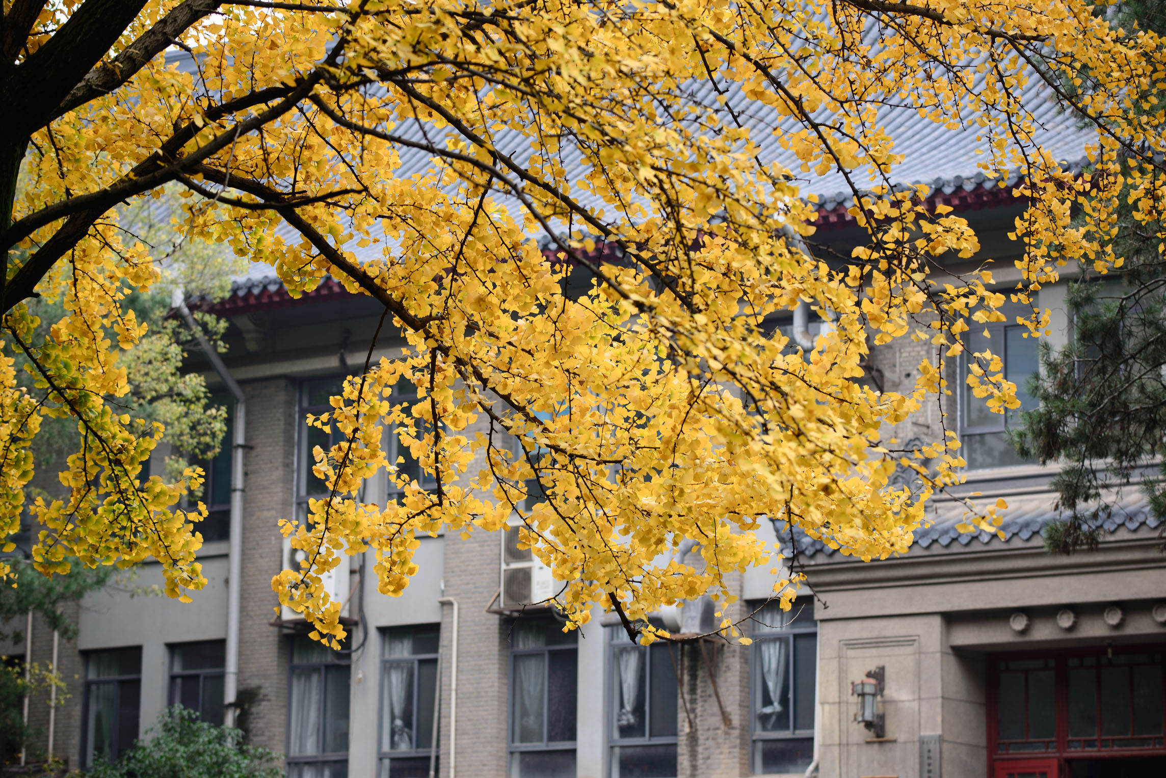热门考研院校概览——南京大学