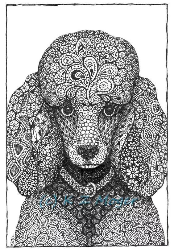 各种狗的画法，从素描到国画，都能画出生动的狗