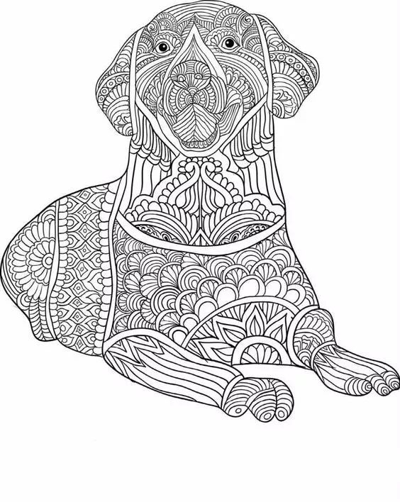 各种狗的画法，从素描到国画，都能画出生动的狗