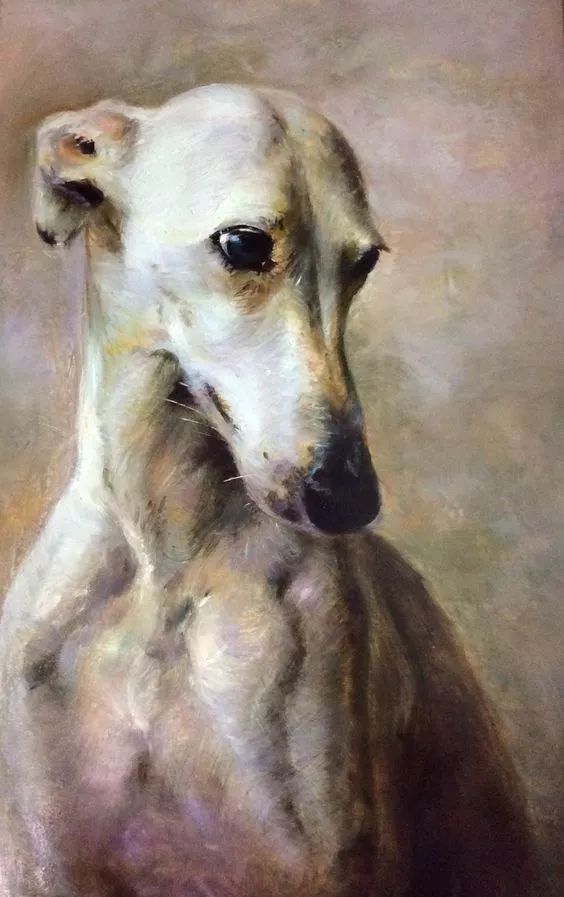 各种狗的画法，从素描到国画，都能画出生动的狗