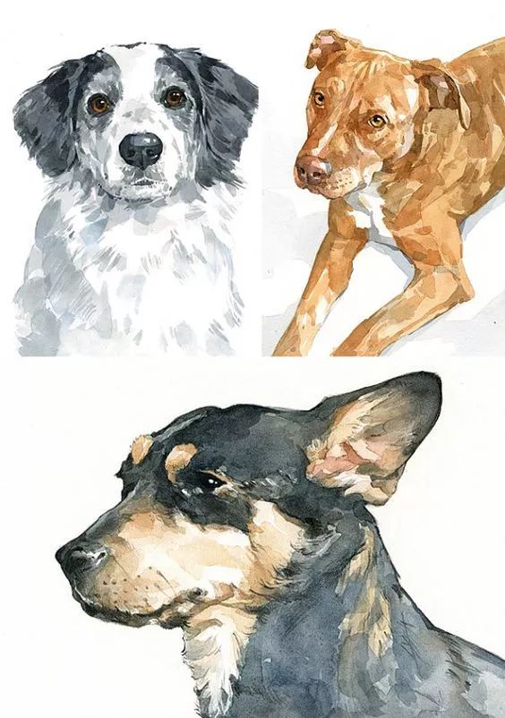 各种狗的画法，从素描到国画，都能画出生动的狗