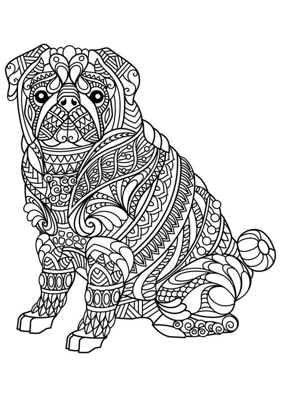 各种狗的画法，从素描到国画，都能画出生动的狗