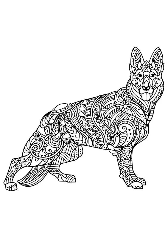各种狗的画法，从素描到国画，都能画出生动的狗
