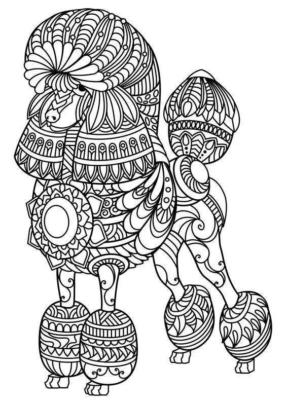 各种狗的画法，从素描到国画，都能画出生动的狗