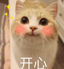 可爱猫咪表情包带字表情包