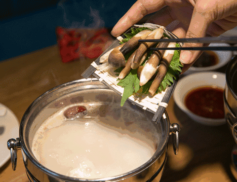 竹蓀圖片,竹筍圖片大全高清圖片