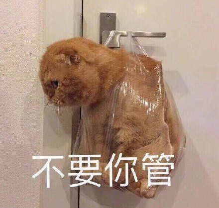 可爱猫咪表情包带字表情包