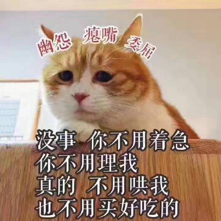 可爱猫咪表情包带字表情包