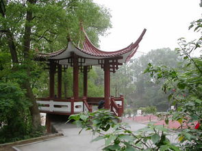 泸州各高中图片大揭秘！快来说说你们学校都有哪些小秘密~