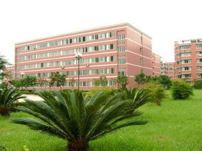 泸州各高中图片大揭秘！快来说说你们学校都有哪些小秘密~