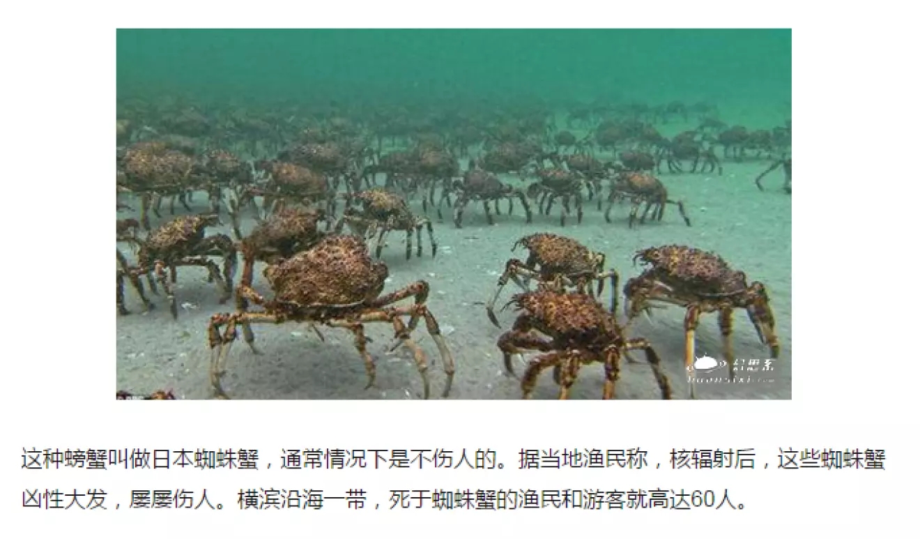 【影评】《潘多拉》魔盒已经打开，希望与苦痛并存。