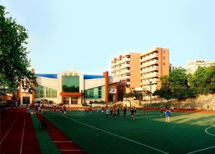 泸州各高中图片大揭秘！快来说说你们学校都有哪些小秘密~