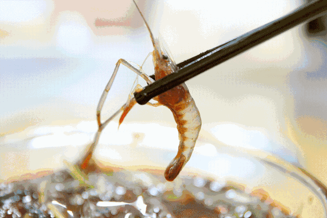 跑遍8个区！这25家旮旯美食才是真正《舌尖上的魔都》！