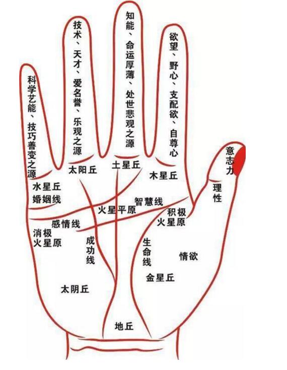 手掌上有没有偏财线 理财纹与感情线平行_达一风水网