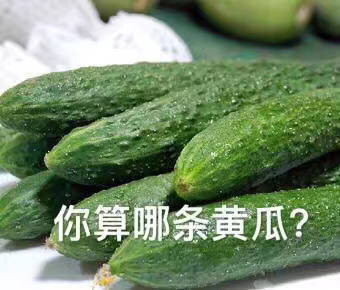 蔬菜水果表情包：你算哪根葱、你算哪个橙子？