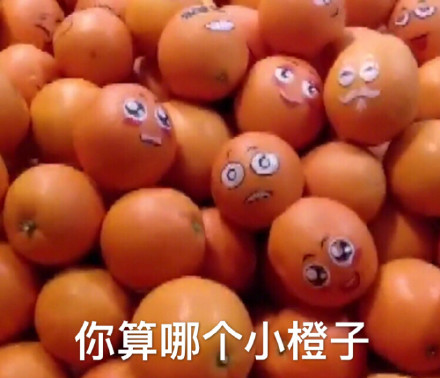 蔬菜水果表情包：你算哪根葱、你算哪个橙子？