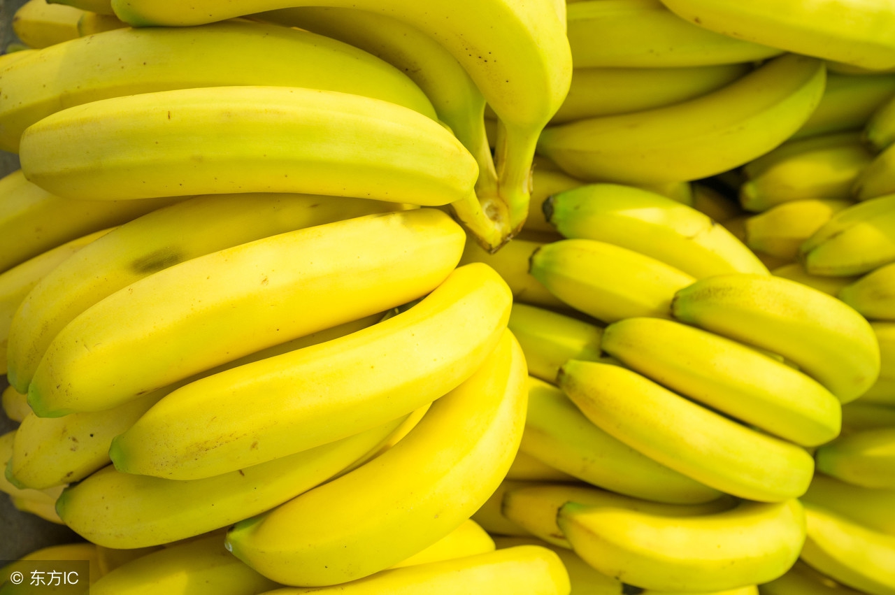 杰哥报行情：香蕉多少钱一斤？2018年最新香蕉价格行情