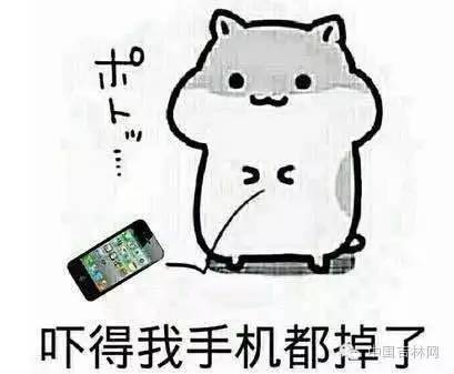 毕业照，不将就！吉林的毕业生们城会玩！