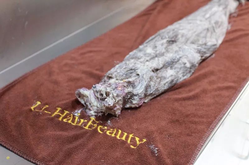 带同事去接了一次头发，顺便帮你了解下关于接发的所有疑问！
