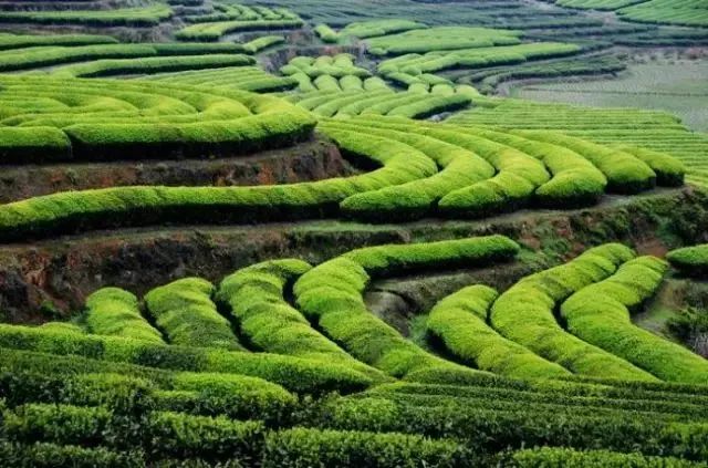 旮旯湯,旮旯湯怎么做啊